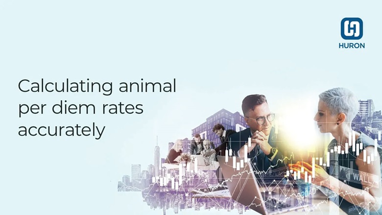Calculating animal per diem rates accurately