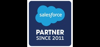 Salesforce Partner Since 2011